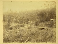 Collections | State Library of Queensland