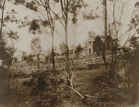 Collections | State Library of Queensland