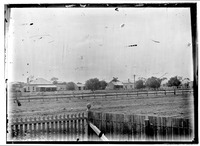 Collections | State Library of Queensland