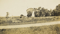 Collections | State Library of Queensland